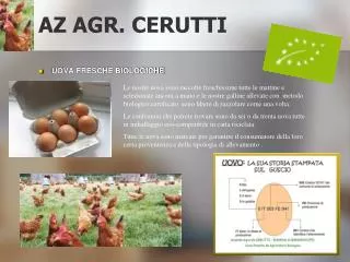az agr cerutti