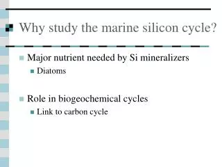 Why study the marine silicon cycle?