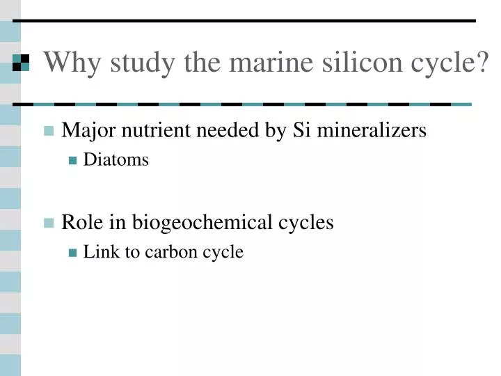 why study the marine silicon cycle