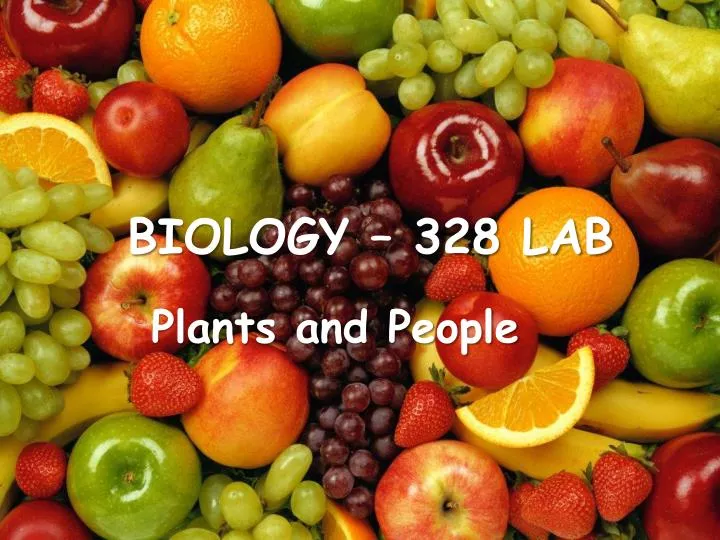 biology 328 lab