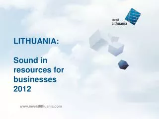 LITHUANIA: Sound in resources for businesses 2012