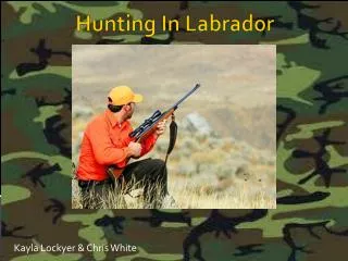 Hunting In Labrador