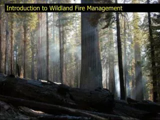 Introduction to Wildland Fire Management