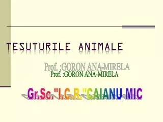 te suturile animale