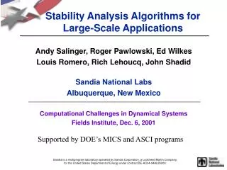 Stability Analysis Algorithms for Large-Scale Applications
