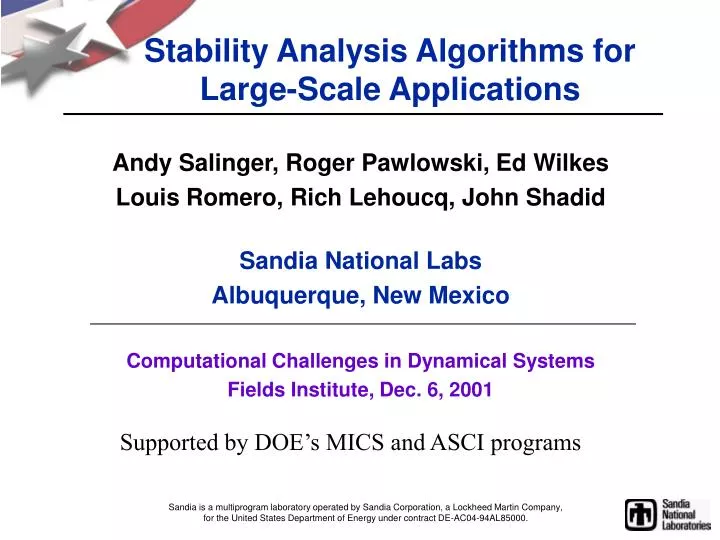 stability analysis algorithms for large scale applications