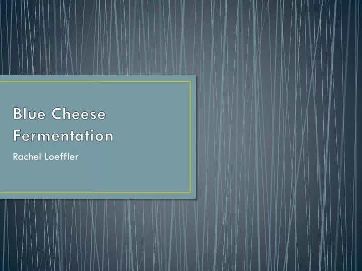 blue cheese fermentation