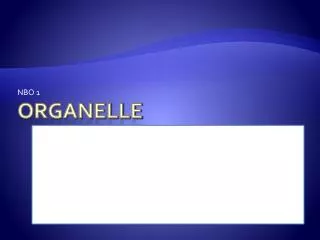 Organelle