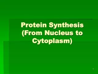 Protein Synthesis (From Nucleus to Cytoplasm)