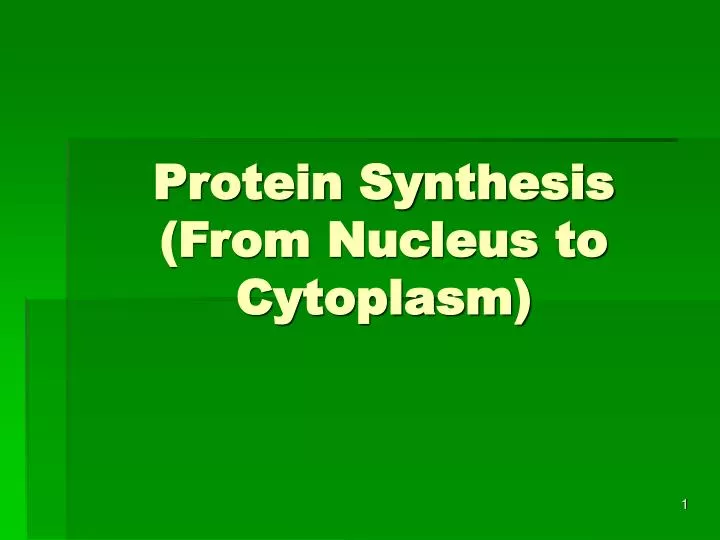 protein synthesis from nucleus to cytoplasm