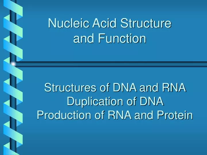 nucleic acid structure and function