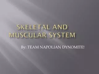 Skeletal and muscular s ystem