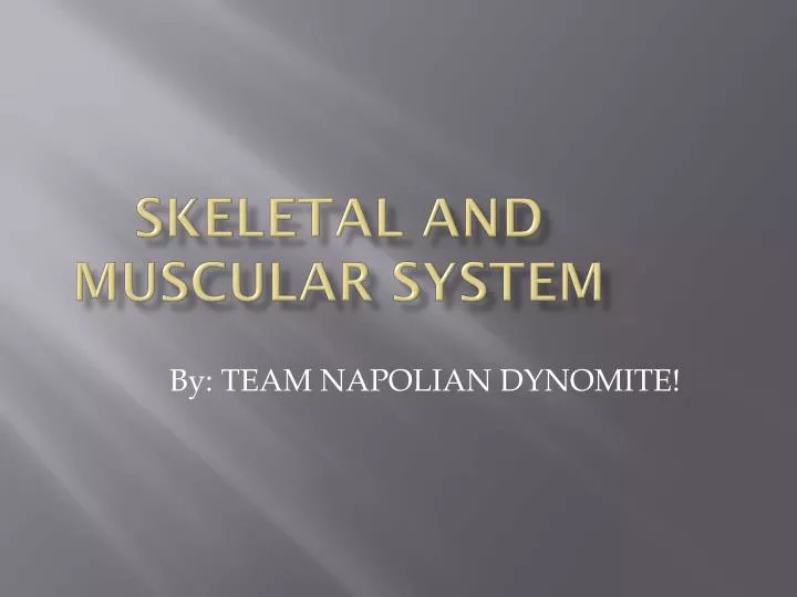 skeletal and muscular s ystem