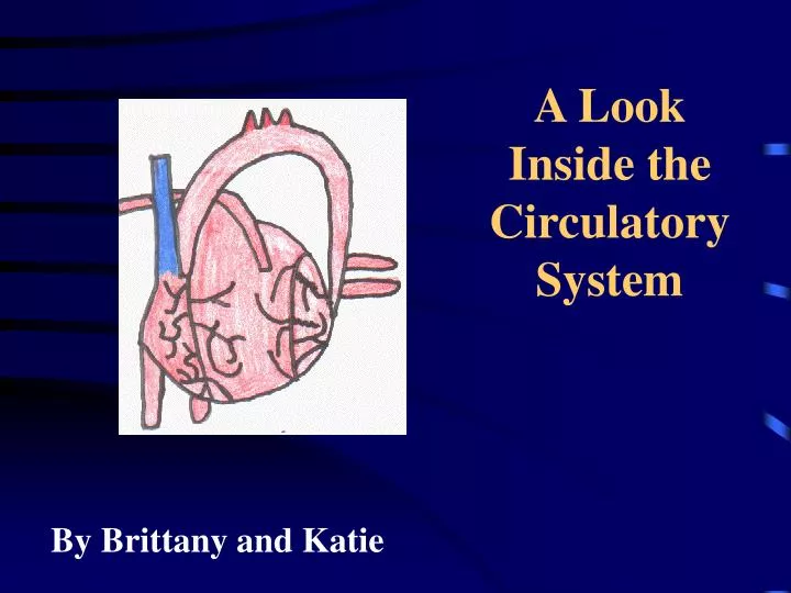 a look inside the circulatory system