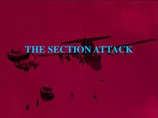 THE SECTION ATTACK