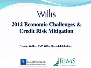 2012 Economic Challenges &amp; Credit Risk Mitigation