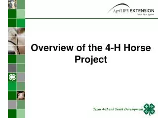 Overview of the 4-H Horse Project
