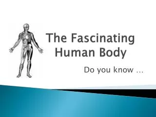 The Fascinating Human Body