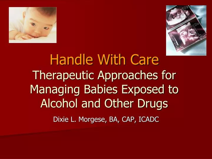 handle with care therapeutic approaches for managing babies exposed to alcohol and other drugs