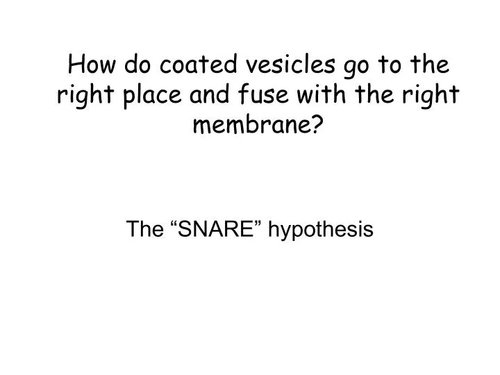 how do coated vesicles go to the right place and fuse with the right membrane