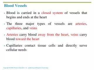 Blood Vessels