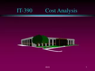 IT-390		Cost Analysis