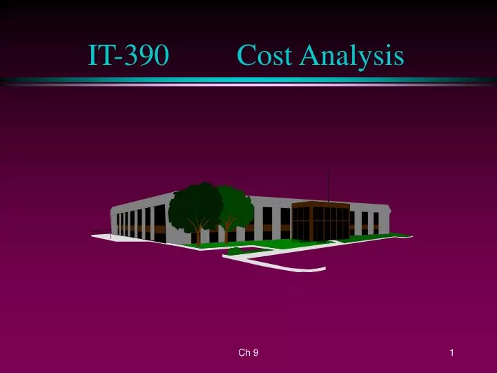 it 390 cost analysis