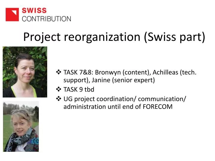 project reorganization swiss part