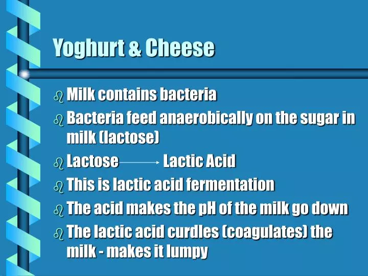 yoghurt cheese