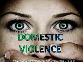 DOMESTIC VIOLENCE