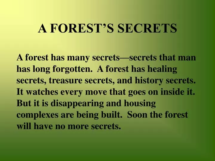 a forest s secrets
