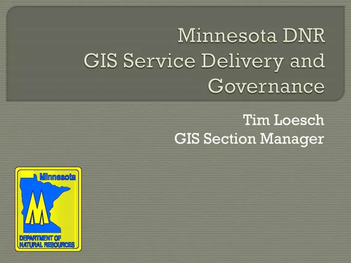 minnesota dnr gis service delivery and governance