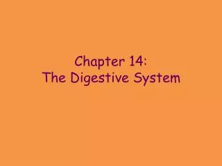 Chapter 14: The Digestive System