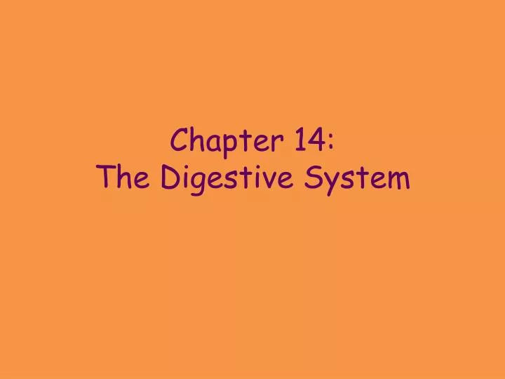 chapter 14 the digestive system