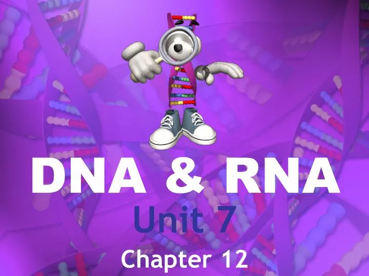 dna rna