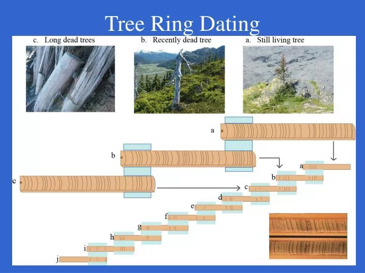 tree ring dating