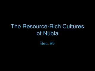 The Resource-Rich Cultures of Nubia