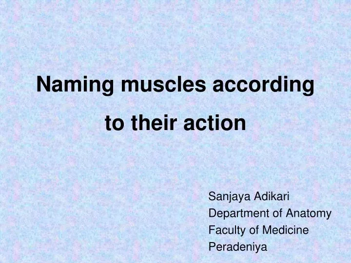 naming muscles according to their action