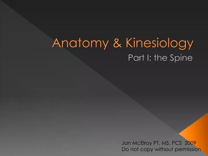 anatomy kinesiology