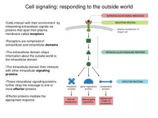 Cell signaling: responding to the outside world