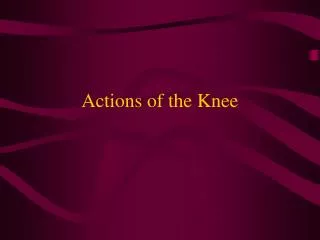 Actions of the Knee