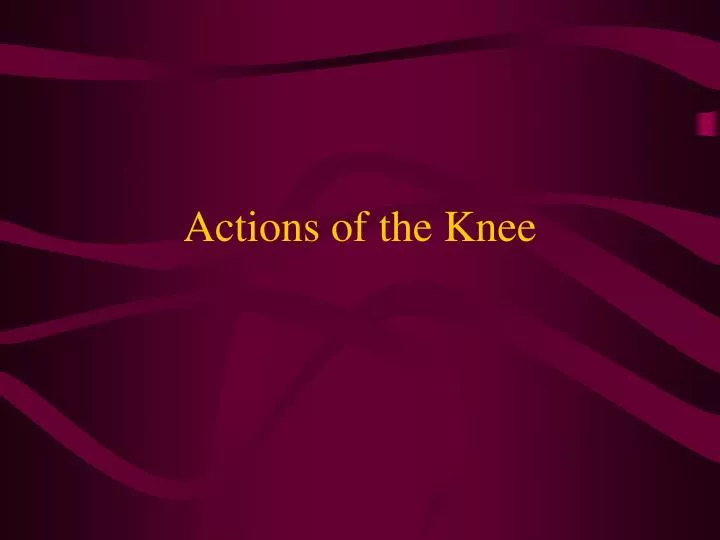 actions of the knee