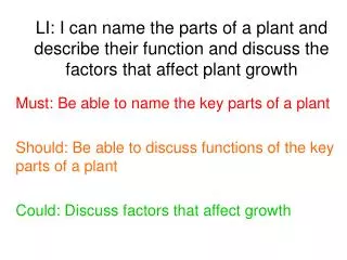 Must: Be able to name the key parts of a plant