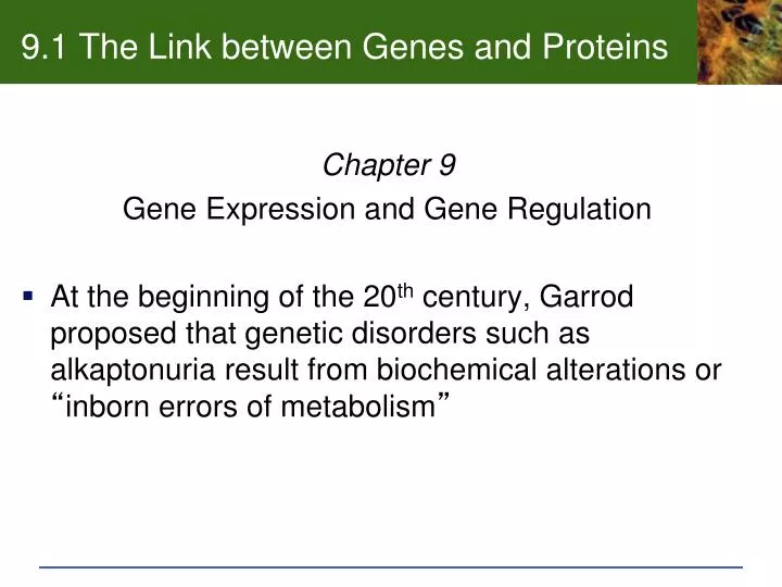 9 1 the link between genes and proteins