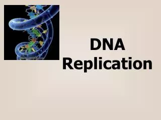 DNA Replication