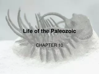 Life of the Paleozoic
