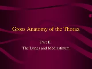 Gross Anatomy of the Thorax