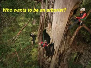 Who wants to be an arborist?