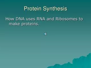 Protein Synthesis