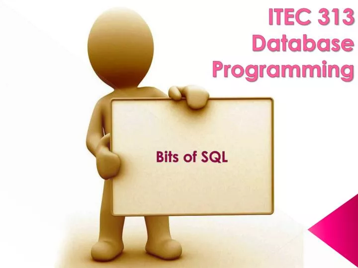 itec 313 database programming